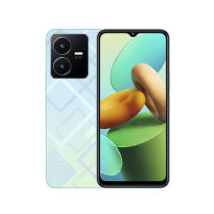 vivo Y22