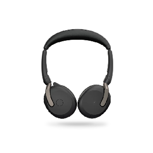 jabra evolz 65